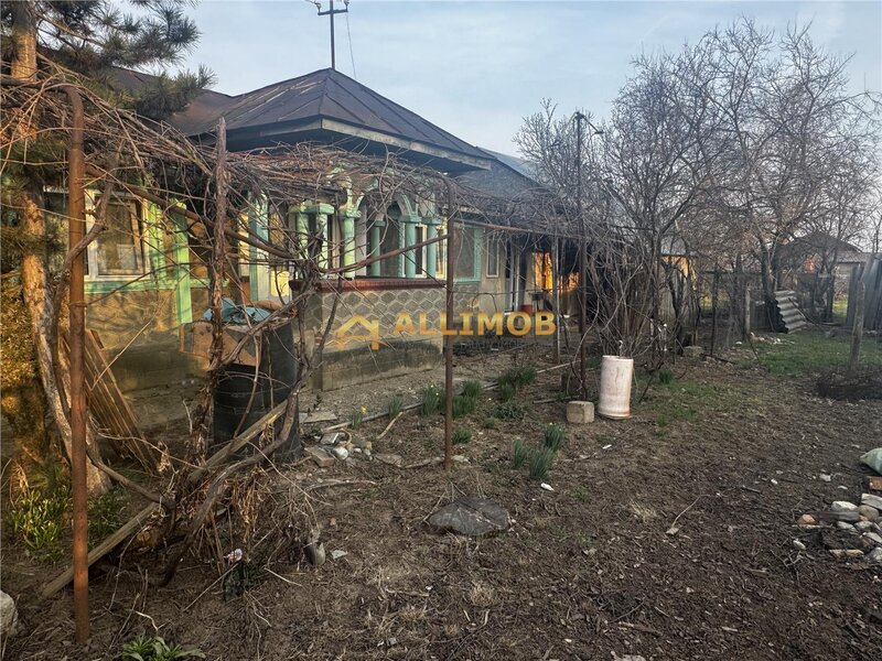 Casa batraneasca si teren 758 mp in Negoiesti.