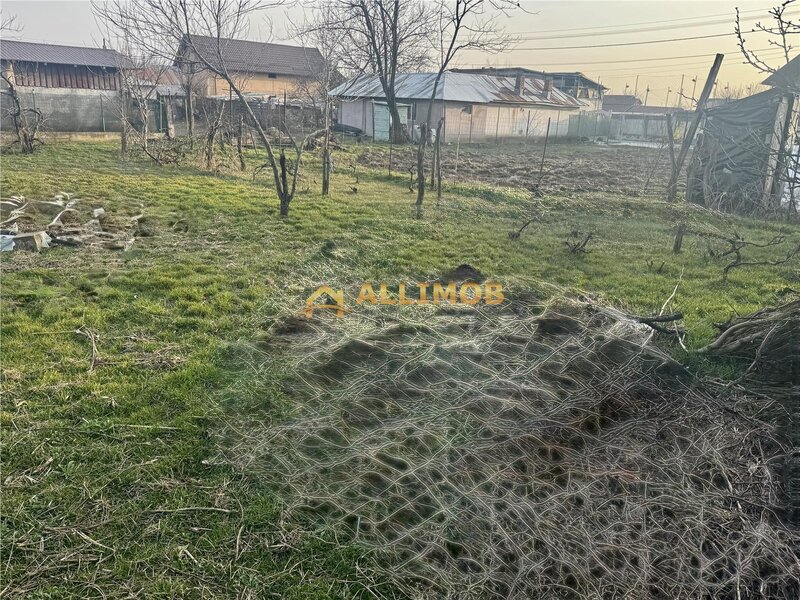 Casa batraneasca si teren 758 mp in Negoiesti.